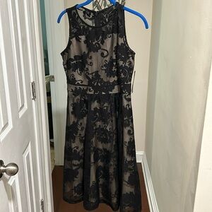 New York & Company Lace Cocktail Dress NWT
